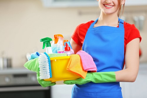 Professional window cleaning for homes and businesses in Hackney