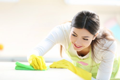 Stain treatment on a mattress during a cleaning appointment