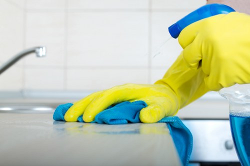 Local cleaner carrying out kitchen maintenance in a Hackney flat