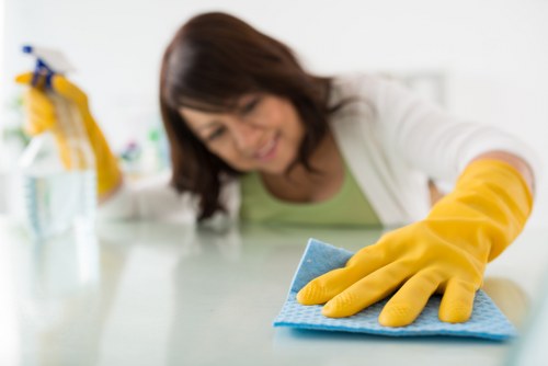 Local cleaners working in a Hackney home