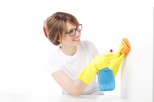 Careful window cleaning service for Hackney flats and offices
