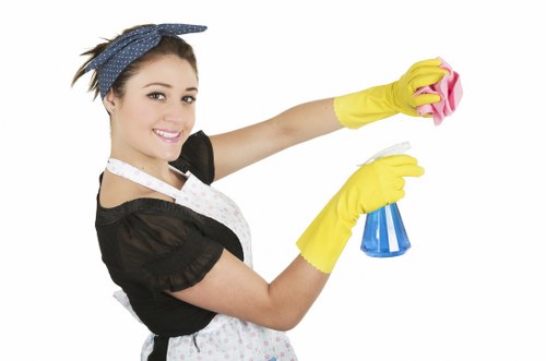 Deep cleaning treatment for a wool or handmade rug