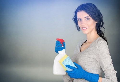 Odour removal treatment for a sofa in a Hackney flat